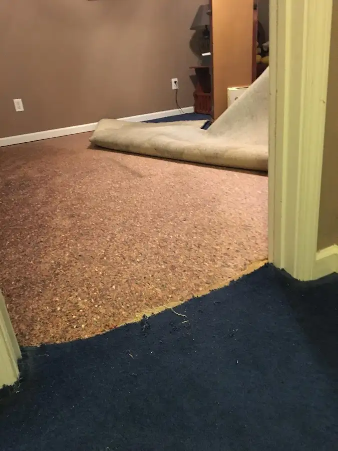 Carpet pad removal revealing water damage during Water Mitigation Services in Orland Park