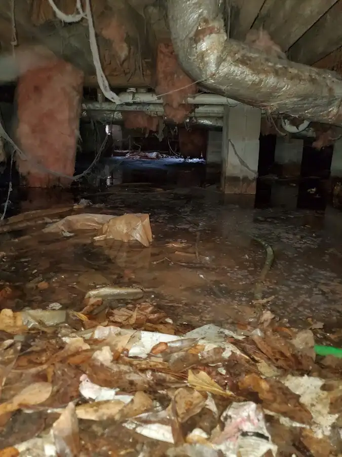 Crawl space flood assessment for Leak Detection & Repair in Orland Park